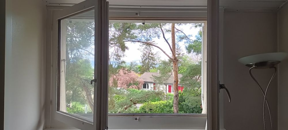 Fenêtre, vue jardin – EDILSYSTEM